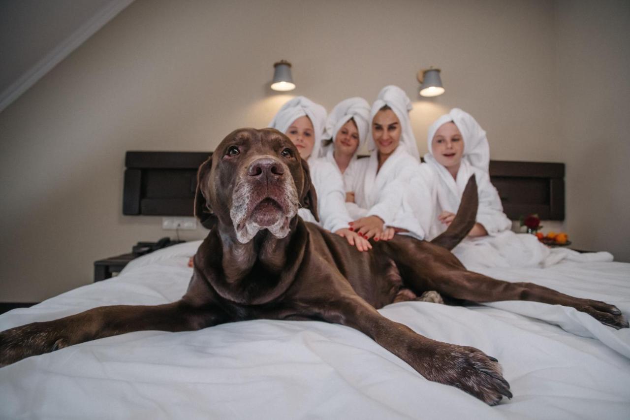Rubel Aparthotel&Spa Yaremche Dış mekan fotoğraf